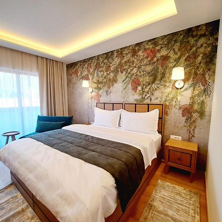 Pensiunea Leonida - Resort Leonida Poiana Tapului 外观 照片